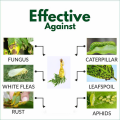 Neem Oil Agricultural PESTICIDE, For Agriculture 100ml. 
