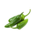 Hybrid Green Chili Bulet Seed 45+Pcs. 