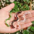 10pcs Plastic Tomato Plant Lock Clips Garden Clips for Fixed Greenhouse Agriculture Tomato Vine.