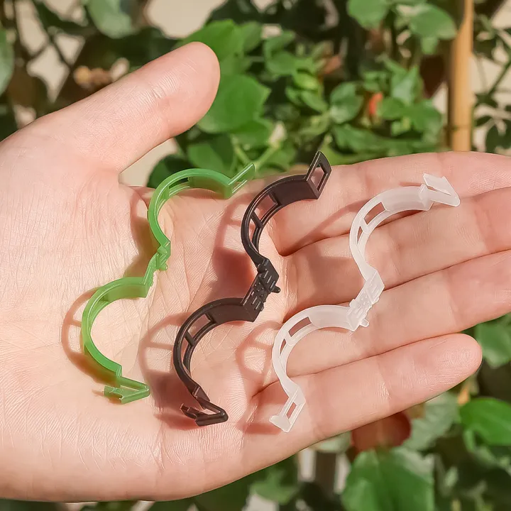 10pcs%20Plastic%20Tomato%20Plant%20Lock%20Clips%20Garden%20Clips%20for%20Fixed%20Greenhouse%20Agriculture%20Tomato%20Vine%20-%20Image%205