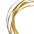 Orphee 12Pcs Acoustic Guitar String Hexagonal Core+8% Nickel FULL,Bronze Bright Tone TX620. 