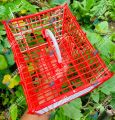 Birds Carrying Cage Only for Small Birds 1pc (Folding) Mix Color 8x6inch. 