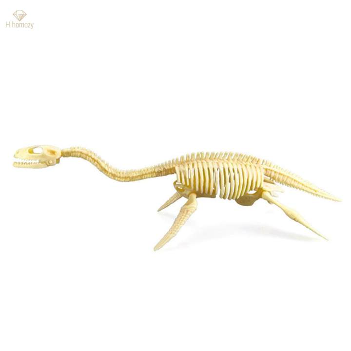 Dinosaur%20Skeleton%20Models%20Bones%20Figures%20for%20Festival%20-%20Image%206