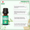 Rongon Herbals-TEA TREE ESSENTIAL OIL-10ml- Vertical Dropper. 