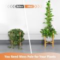 Coco pole 30 inch - Coir(Coco peat) Grow Stick 1 pcs. 