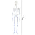 Portable Skull Prop Attractive Plastic Funny Halloween Luminous Skeleton Body Toy Sculpture for Festival. 