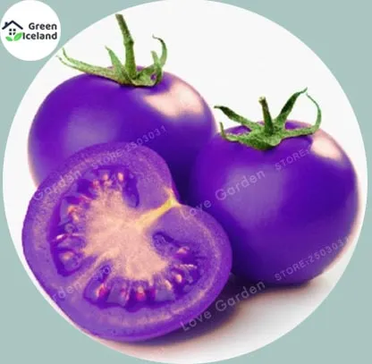 20%20Pcs%20Global%20Colourful%20Rainbow%20Tomato%20Fruit%20Bonsai%20Seeds%20-%20Image%203