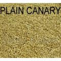 Birds Food Canary Seed Bird Food - 1KG. 