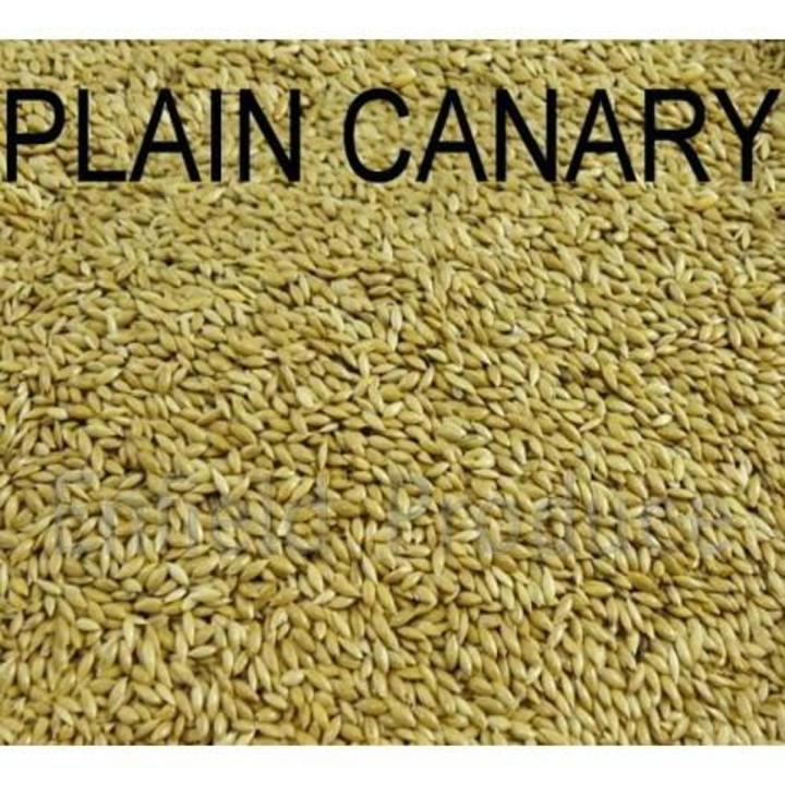 Birds Food Canary Seed Bird Food - 1KG