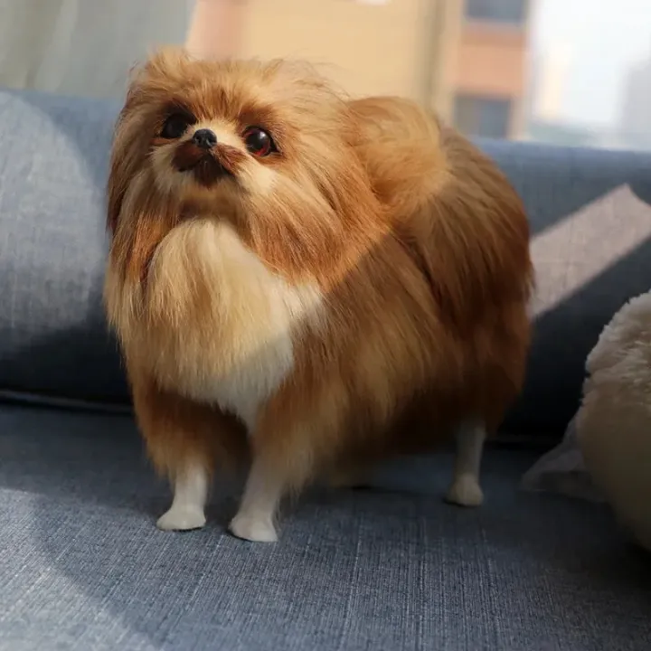 27cm%20Pomeranian%20Dog%20Simulation%20Plush%20Toys%20Lifelike%20Dogs%20Stuffed%20Animal%20Dolls%20Kawaii%20Toys%20for%20Children%20Birthday%20Christmas%20Gift%20-%20Image%202
