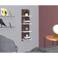 Wall Mount Books Shelf Racks Stand | Display Unit | Showpiece Shelf Racks Stand | Storage Rack | Modern Books Shelf | Open Showpiece Shelf | (Model: DSB102).