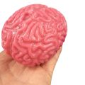 1 Pc Novelty Squishy Brain Toy Squeezable Fun Toys Relieve Stress Ball Cure Toy Cartoon Animal Squeeze Nostress Toy Dropshipp. 