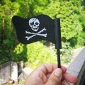 Car Antenna Ball Black Jolly Pirate Flag Car Antenna Pen Topper Aerial Ball Decor Auto Exterior. 