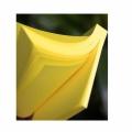 Sticky Note 3 x 3 Inch, 100 Pcs-Square. 