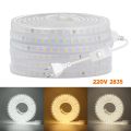 220V LED Strip Waterproof 2835 120Leds/m High Bright LED Strip Light with Switch White Warm White Natural White Ribbon Rope Tape. 