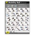 GROUP Exercise Ball Poster Laminated -Yoga Worksouts- Personal Fitness Planners Program - Swiss, Yoga, Balance & Stability Ball Home Gym Poster - Tone Your Core, Abs, Legs Gluts & Upper Body（Yoga Worksouts）. 