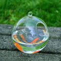【Best value for money】 Round/Rectangle Shape Hanging Aquarium Fish Tank Fish Bowl Transparent Vase Ornament With Rack Holder Home Decoration.