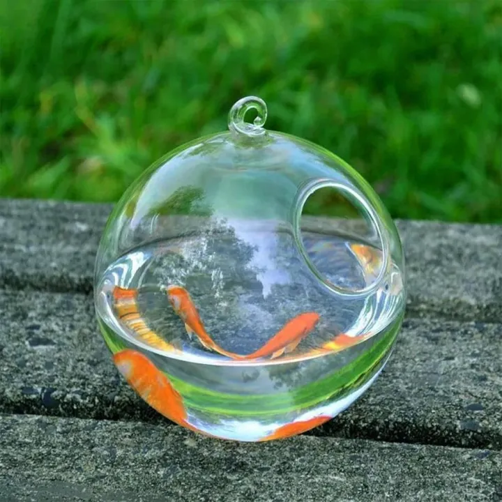 %E3%80%90Best%20value%20for%20money%E3%80%91%20Round/Rectangle%20Shape%20Hanging%20Aquarium%20Fish%20Tank%20Fish%20Bowl%20Transparent%20Vase%20Ornament%20With%20Rack%20Holder%20Home%20Decoration%20-%20Image%203