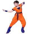 Authentic Dragon Ball Z Cosplay Costume for Kids, Goku Turtle School Outfit for Halloween Party. 