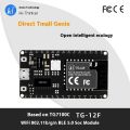 Alibaba TG7100C directly connected to Tmall Genie/WiFi+Bluetooth module/Anxinke TG-12F Kit development board. 