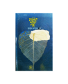 Pencile Aka Pori ( পেন্সিলে আঁকা পরী ) By Humayun Ahmed - Book. 