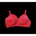 Premium Quality Women Clothing Net Soft Bra Comfortable Skin Friendly Stylish Bra.