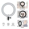 LED Ring Light 10-inch with Tripod Stand Selfie Ringlight Video Photpgraphy Lamp for Youtube Makeup Video Live Lighting Shooting.