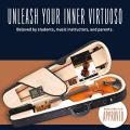Cecilio CVN-300 Solid Wood Ebony Fitted Violin. 
