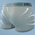 HELLO Ice Silk Mesh Men's Underwear Full Mesh Elastic Breathable Comfortable Boxers Young Students Boys Underwear.