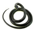 GC Fake Realistic Snake Lifelike Real Scary Rubber Toy Prank Party Joke Halloween. 