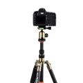 Triopo GT-2505x8.C Adjustable Portable Carbon Fiber Tripod with B-1 Aluminum Ball Head for Canon Nikon Sony DSLR Camera.