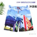 Summer 2024 New Shorts Men's Quick Dry Swimming Trunks Loose Medium Pants Men's Plus Size Surf Pants.