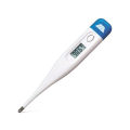 Digital Thermometer.