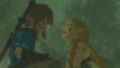 The Legend of Zelda: Breath of the Wild Nintendo Switch Game.
