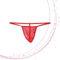 Sexy Stylish & Fashionable Mens Low Rise Briefs Thong Underpants Lingerie From Charu Closet / T-Back Panties Shorts Underwear Funny Thongs For Mens With Premium Packaging (Free Size). 