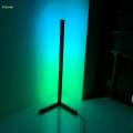 Color Changing RGB Mood Lighting Metal LED Wall Corner Floorlamp. 