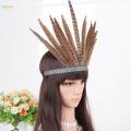 Feather Headband Indian Costume Indian Headdress Headband Crown Peacock Costume Headwear for Carnival Performance Burlesque Party Mardi Gras. 