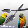 Handfeeding Spoon For Bird-1pcs. 