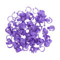 100 PCS Chicken Foot Ring Duck Hen Goose Legs Rings Clip Poultry Foot Ring Farming Tools Purple 20mm/0.79in. 