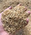Natural Rice Husk 5 kg Pure and Organic Husk for Manure and Fertilizer Rice Hulls for Plants and Gardening Rice Paddy Husk/Hulls for Plants Grow. 
