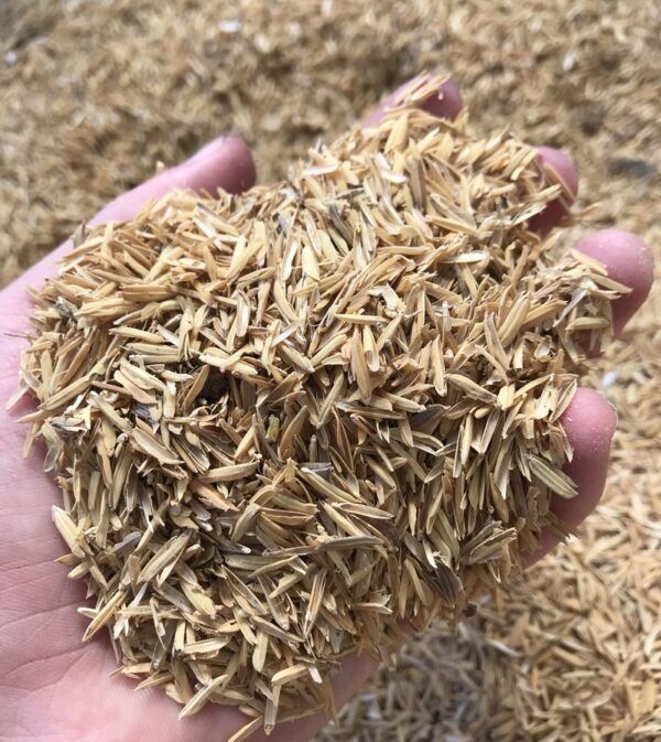 Natural%20Rice%20Husk%201%20kg%20Pure%20and%20Organic%20Husk%20for%20Manure%20and%20Fertilizer%20Rice%20Hulls%20for%20Plants%20and%20Gardening%20Rice%20Paddy%20Husk/Hulls%20for%20Plants%20Grow%20-%20Image%204