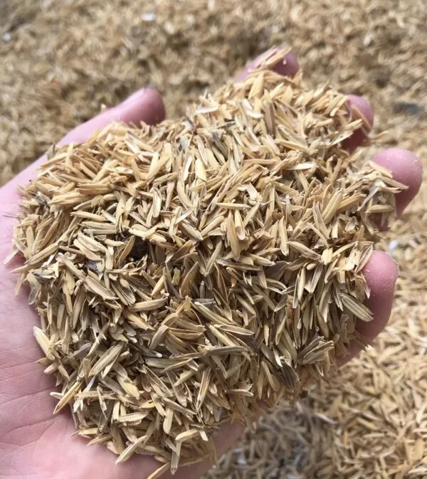 Natural%20Rice%20Husk%205%20kg%20Pure%20and%20Organic%20Husk%20for%20Manure%20and%20Fertilizer%20Rice%20Hulls%20for%20Plants%20and%20Gardening%20Rice%20Paddy%20Husk/Hulls%20for%20Plants%20Grow%20-%20Image%203
