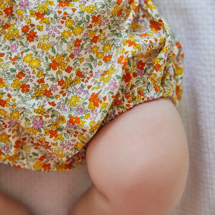 Multicolour%20baby%20panty%20(12%20pcs%20combo)%20&%20(6%20pcs%20combo)%20unisex%20-%20Image%203