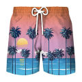 Coconut Tree Graphic Surfing Board Shorts Pants Men 3D Print Tropics Sea Island Beach Shorts Hawaii Swimsuit Ice Shorts Swimwear.