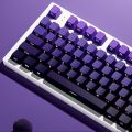 Gradient Purple Double Shot PBT Keycap OEM Profile Side Print RGB Backlit Keycap 135 Key for Cherry Gateron MX Switches Keyboard. 