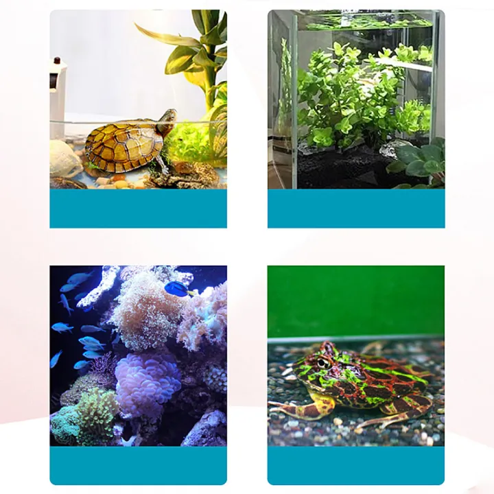 Mini%20Aquarium%20Heater%2026%20%C2%B0%20C%20Constant%20Temperature%20Submersible%20Small%20Fish%20Tank%20Heater%20Temperature%20Controller%20(USB-10W)%20-%20Image%204