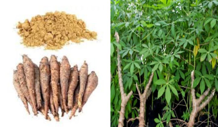 Shimul,%20Shimul%20Mul%20Powder,%20Shimul%20Powder%201kg%20Poly%20Pack%20-%20Image%206