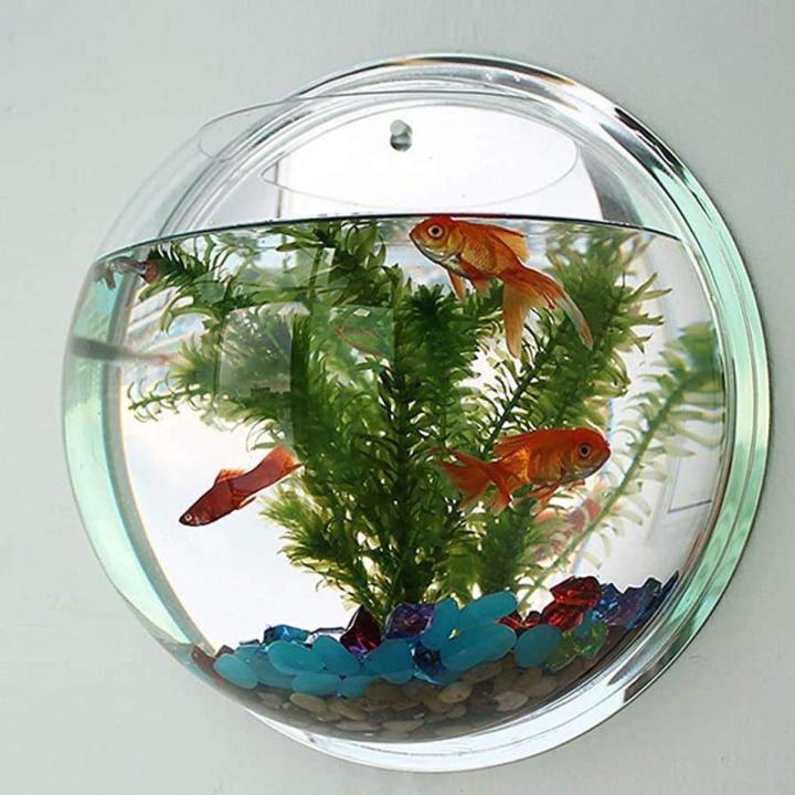 hanging fish tank