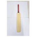 white cricket bat.