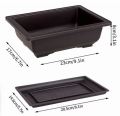 Bonsai flower pot 9 Inchi with Tray.